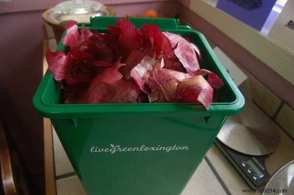 7 Practical Ways to Repurpose Onion Skins and Reduce Waste