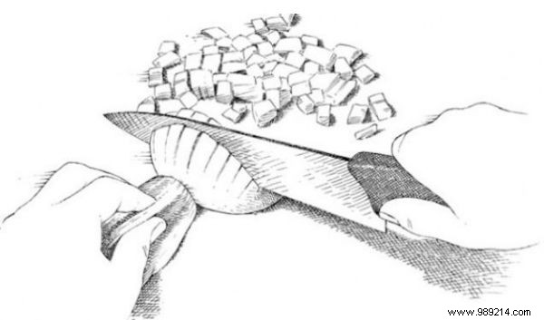 7 Practical Ways to Repurpose Onion Skins and Reduce Waste