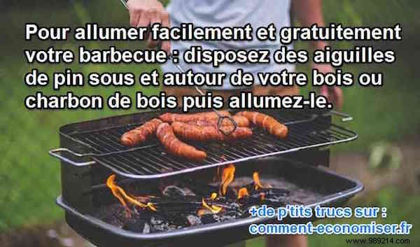 Light Your Barbecue for Free: The Simple Pine Needle Method (No Fire Starter Needed)