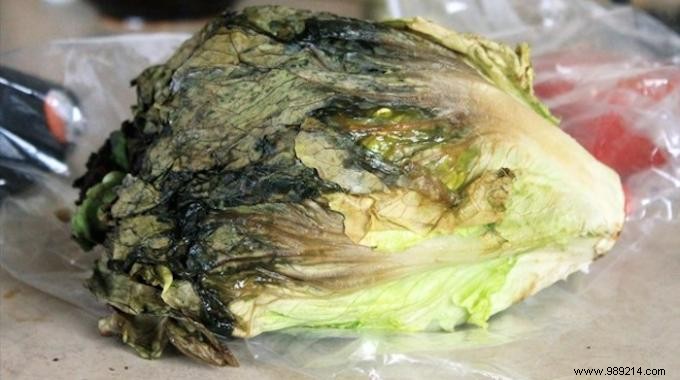 Expert Tip: Keep Your Salad Fresh in the Fridge for Up to a Week