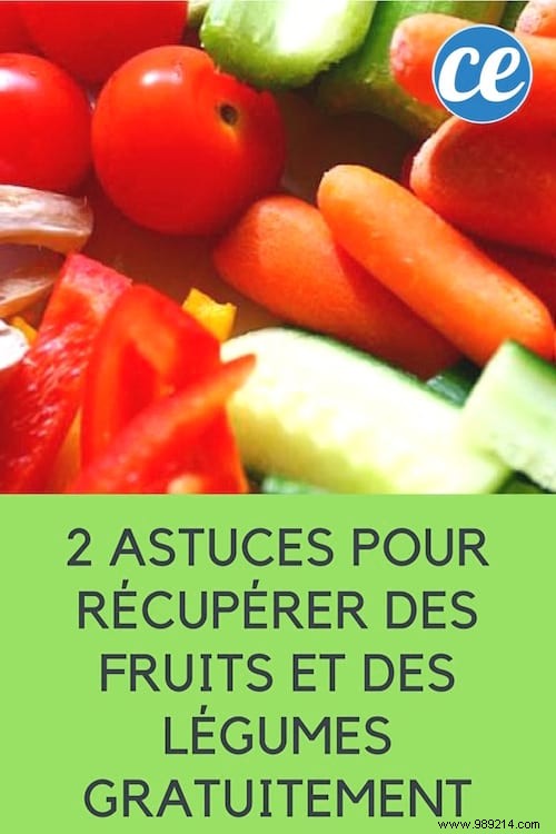 How I Save €80 Monthly on Groceries: 2 Proven Tips for Free Fruits and Vegetables