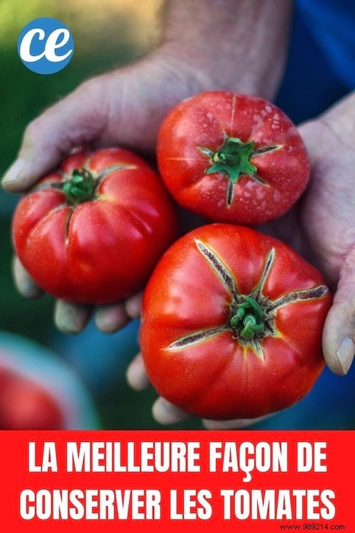 The Best Way to Store Tomatoes for Maximum Flavor and Freshness