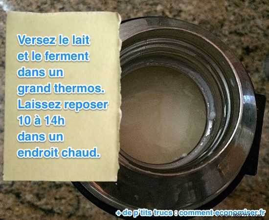 Easy Homemade Yogurt Recipe: Foolproof Steps for Creamy, Probiotic Yogurt