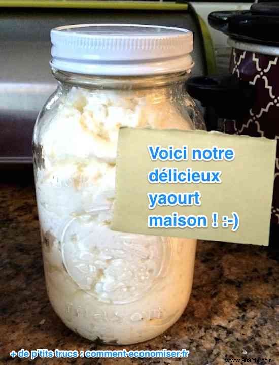 Easy Homemade Yogurt Recipe: Foolproof Steps for Creamy, Probiotic Yogurt