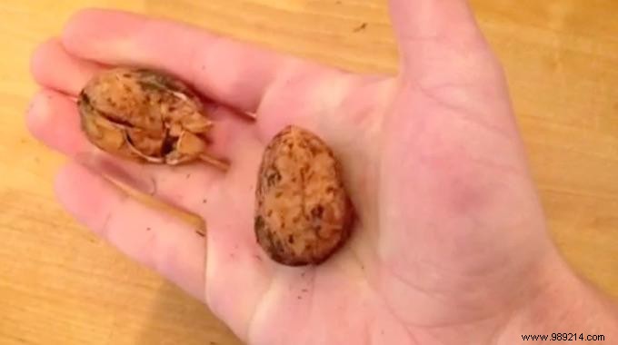 Crack Open Nuts Without a Nutcracker: Proven 5-Second Hand Technique