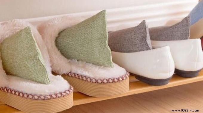 DIY Natural Air Freshener: Grandma s Simple Charcoal Trick for a Fresh Home