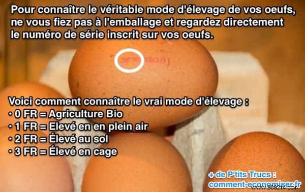 12 Expert Egg Cooking Tips for Perfect Results Every Time