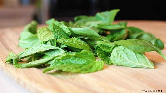 Easy Homemade Mint Syrup Recipe: Classic and Light Stevia Versions