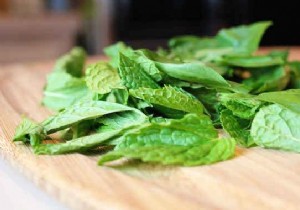 Easy Homemade Mint Syrup Recipe: Classic and Light Stevia Versions