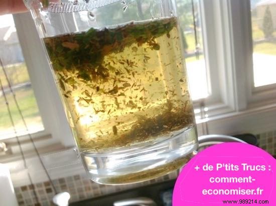 11 Ingenious Ways to Cook Real Meals with Just a Coffee Maker