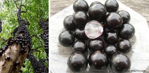 Discover 20 Rare Exotic Fruits from Around the World