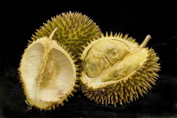 Discover 20 Rare Exotic Fruits from Around the World