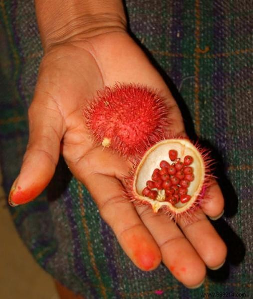 Discover 20 Rare Exotic Fruits from Around the World