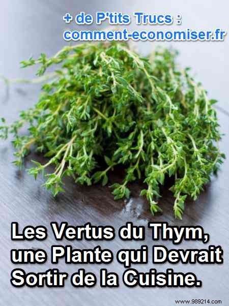 Thyme s Proven Healing Powers: Elevate This Kitchen Staple to Your Natural Medicine Cabinet