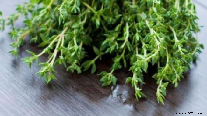Thyme s Proven Healing Powers: Elevate This Kitchen Staple to Your Natural Medicine Cabinet