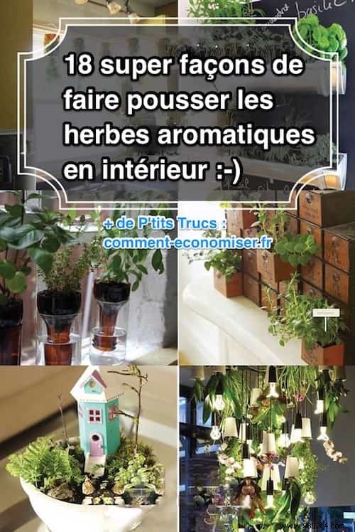 18 Ingenious Ways to Grow Fresh Herbs Indoors Year-Round