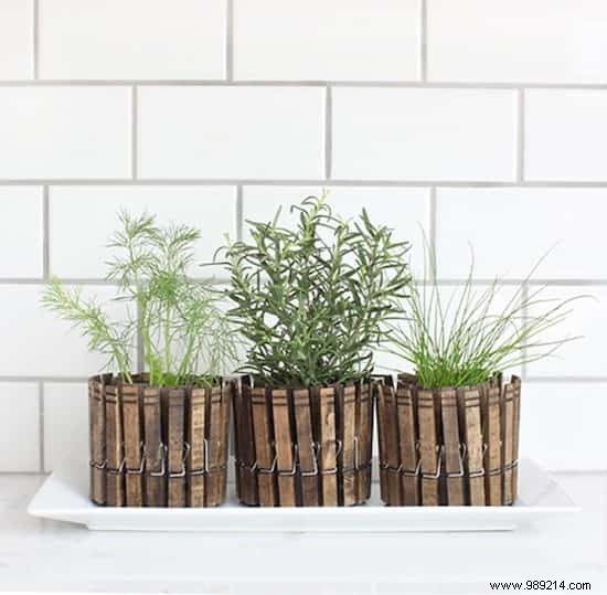 18 Ingenious Ways to Grow Fresh Herbs Indoors Year-Round