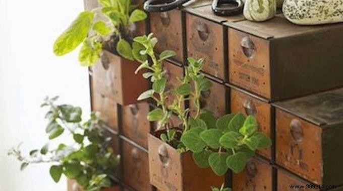 18 Ingenious Ways to Grow Fresh Herbs Indoors Year-Round