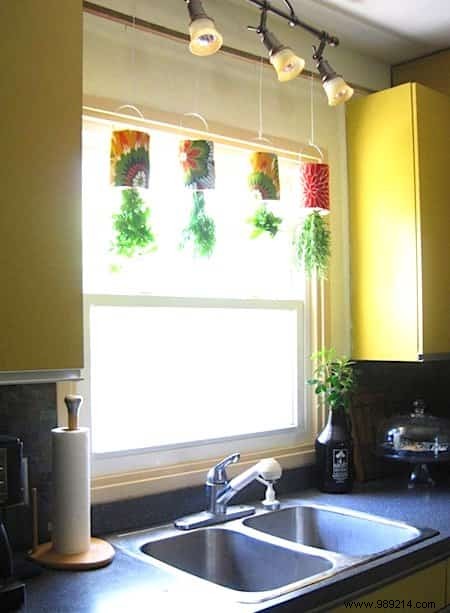 18 Ingenious Ways to Grow Fresh Herbs Indoors Year-Round