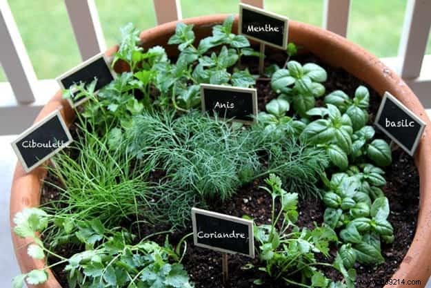 18 Ingenious Ways to Grow Fresh Herbs Indoors Year-Round