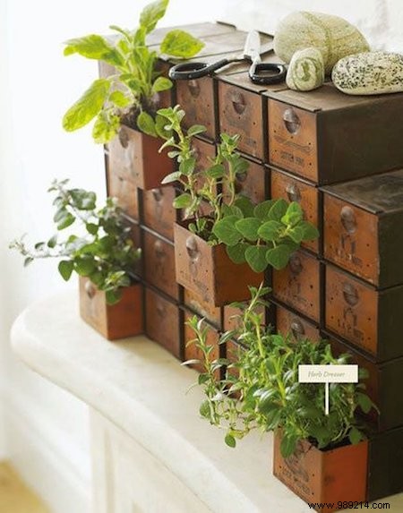 18 Ingenious Ways to Grow Fresh Herbs Indoors Year-Round