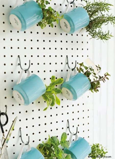18 Ingenious Ways to Grow Fresh Herbs Indoors Year-Round