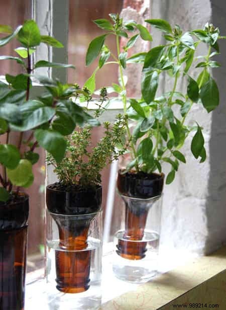18 Ingenious Ways to Grow Fresh Herbs Indoors Year-Round