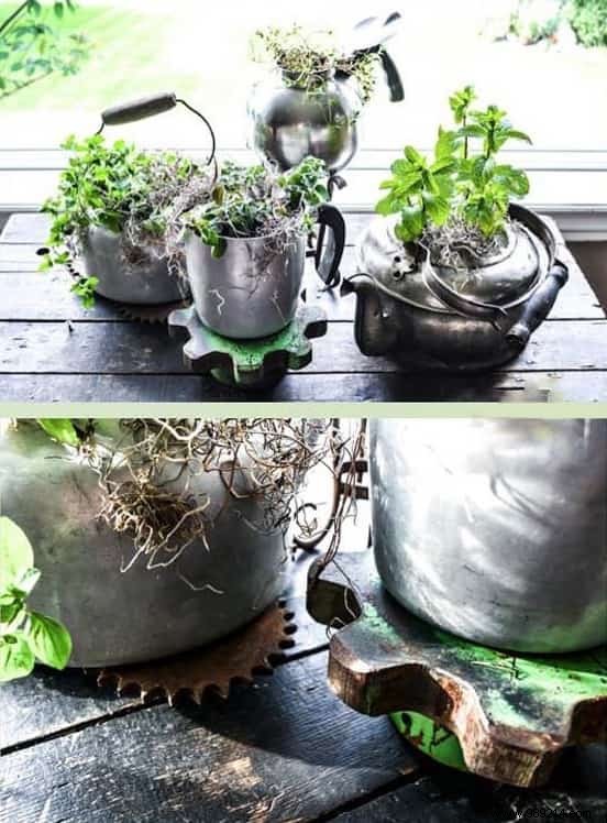 18 Ingenious Ways to Grow Fresh Herbs Indoors Year-Round