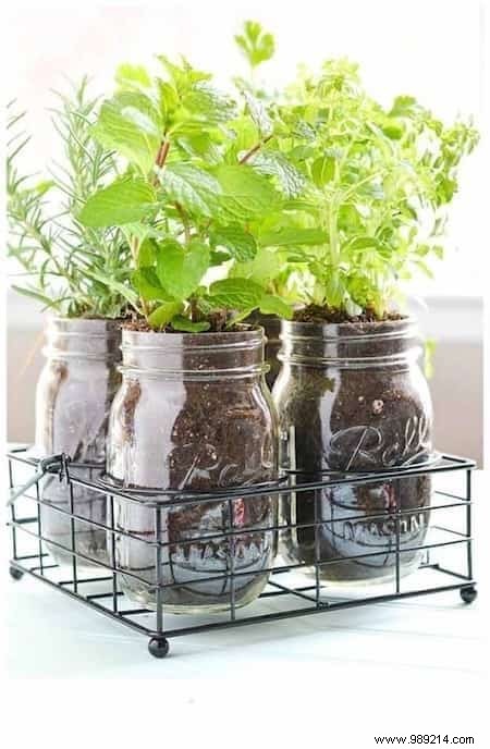 18 Ingenious Ways to Grow Fresh Herbs Indoors Year-Round
