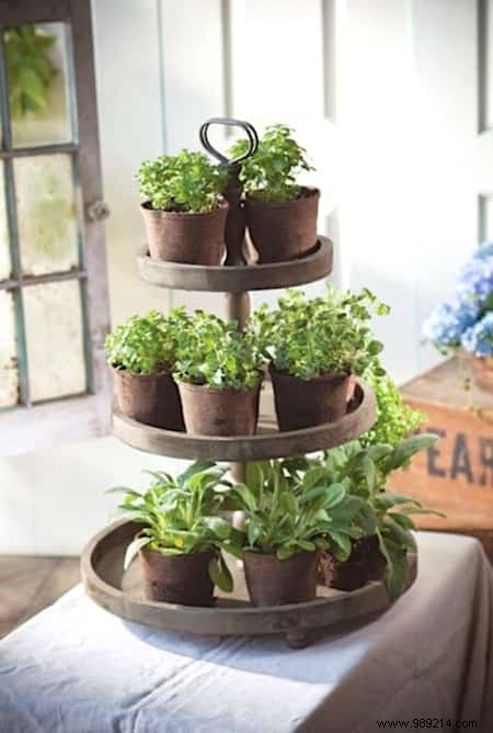 18 Ingenious Ways to Grow Fresh Herbs Indoors Year-Round