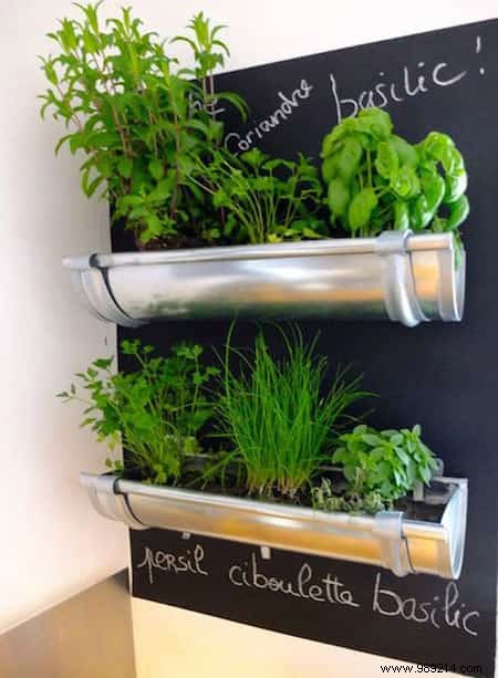 18 Ingenious Ways to Grow Fresh Herbs Indoors Year-Round