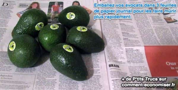 4 Fruits and Vegetables That Stay Fresher Longer with Newspaper