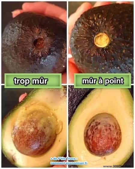 13 Proven Tips for Avocado Lovers: Ripen, Store, and Cook with Confidence