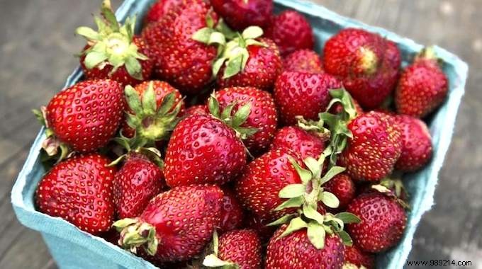 4 Proven Tips to Keep Strawberries Fresh Twice as Long