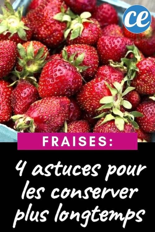 4 Proven Tips to Keep Strawberries Fresh Twice as Long