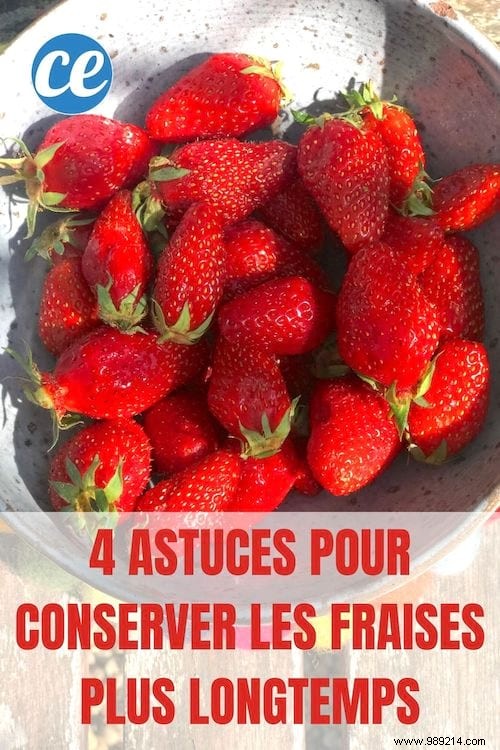 4 Proven Tips to Keep Strawberries Fresh Twice as Long