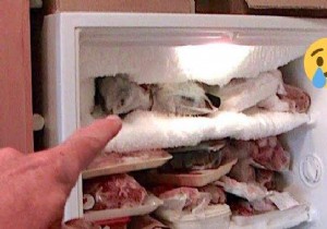 7 Proven Tips to Prevent Frost Buildup in Your Freezer