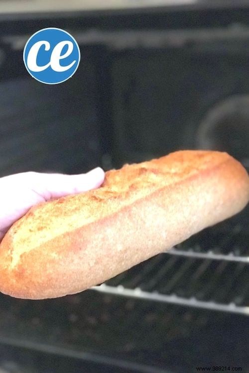 Revive Stale Bread: The Proven Oven Trick for Soft, Crispy Perfection