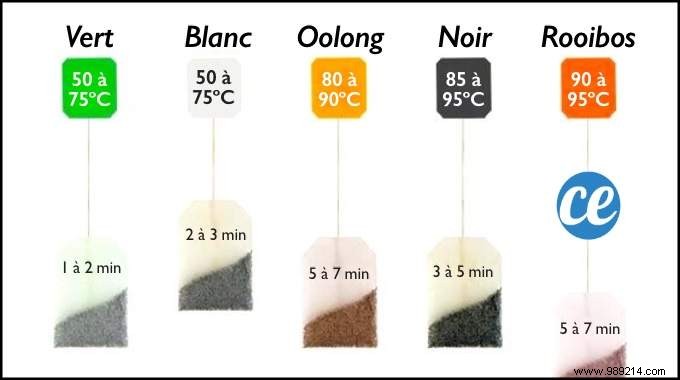 Expert Guide: Perfect Steeping Times and Temperatures for Every Tea Type