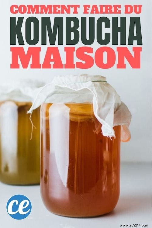 Easy 4-Step Homemade Kombucha Recipe: Brew Probiotic Tea Like a Pro