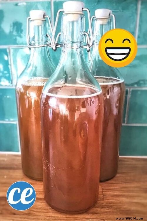 Easy 4-Step Homemade Kombucha Recipe: Brew Probiotic Tea Like a Pro