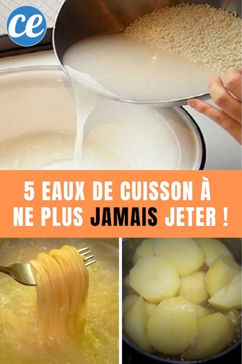 5 Cooking Waters You Should Never Throw Away: Proven Reuse Tips from Kitchen Experts