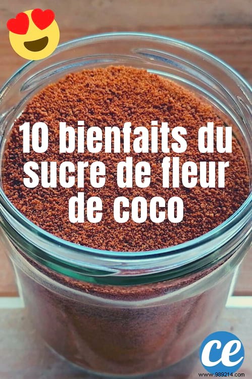 10 Lesser-Known Health Benefits of Coconut Blossom Sugar