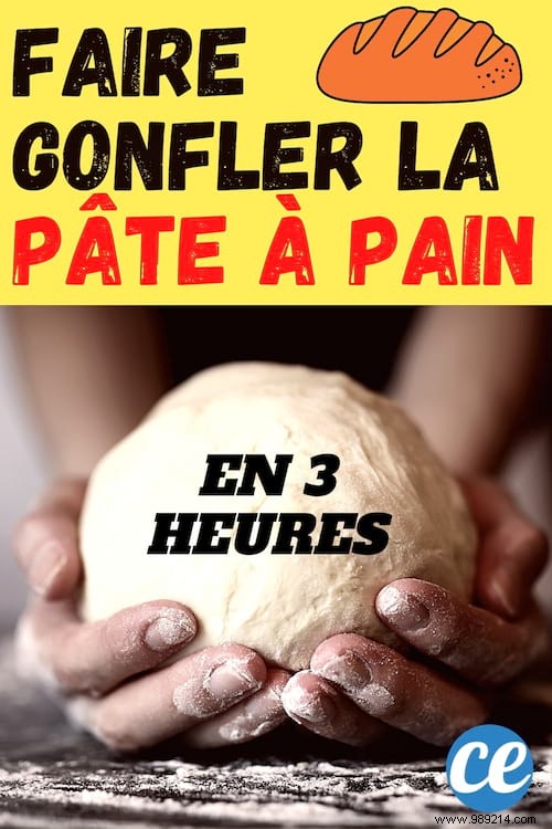 Pro Baker s Trick: Make Bread Dough Rise Perfectly in Just 3 Hours