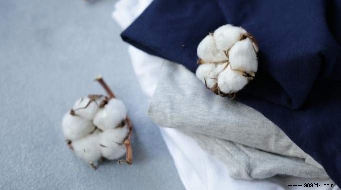 Why Choose Organic Cotton Clothing for Better Health