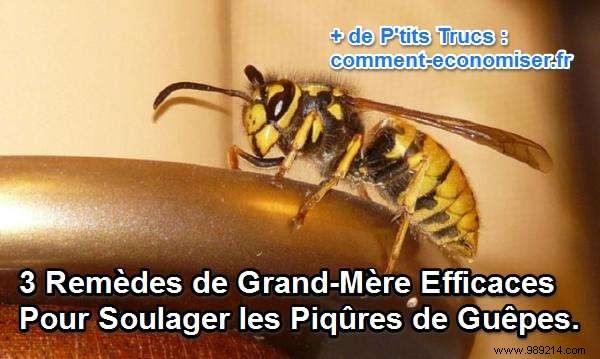 3 Proven Home Remedies for Fast Wasp Sting Relief