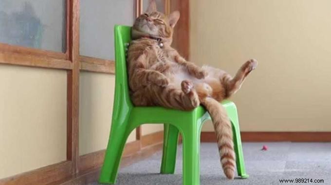 Build Firm Glutes with This Simple No-Equipment Chair Exercise