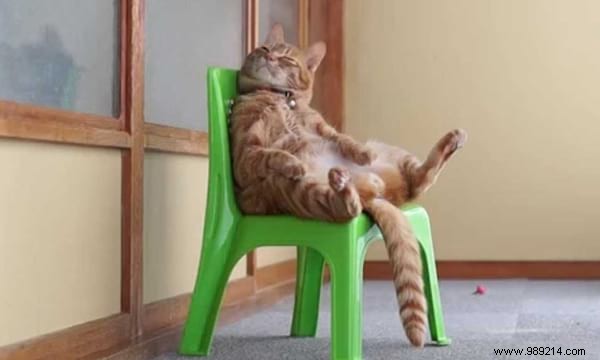 Build Firm Glutes with This Simple No-Equipment Chair Exercise