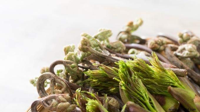 The Cretan Diet: Proven Secrets to Exceptional Longevity and Heart Health