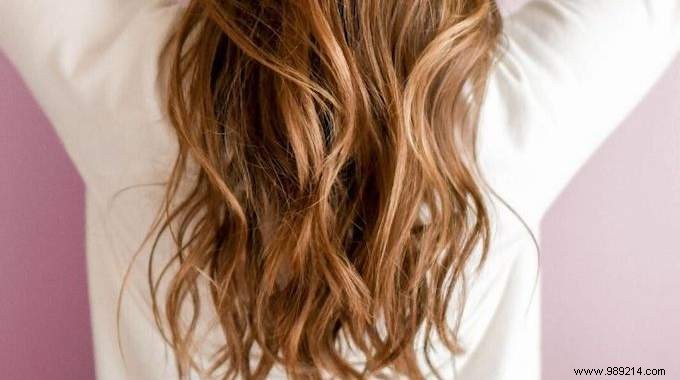 Oily Roots and Dry Ends: 3 Expert Tips for Balanced, Healthy Hair